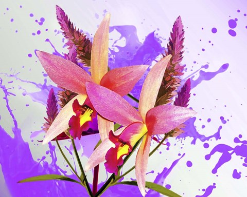 Framed Floral Design V Print