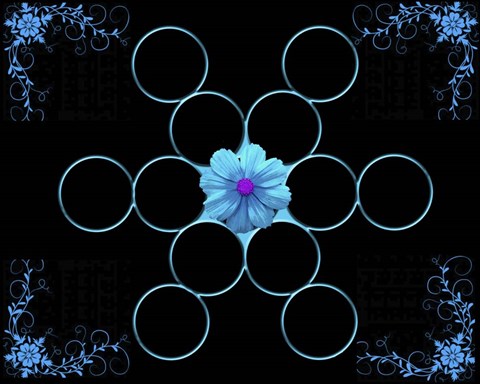 Framed Nature Geometry 1 Print