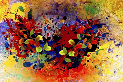 Framed Color Explosion 14 Print