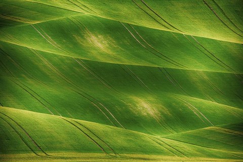 Framed Greenland Print