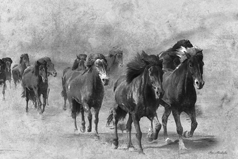 Framed Wild Horses 2 Print