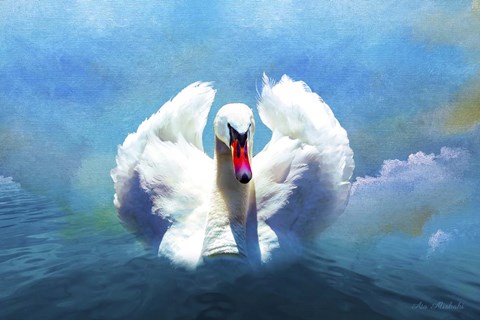 Framed Beautiful Swan Print