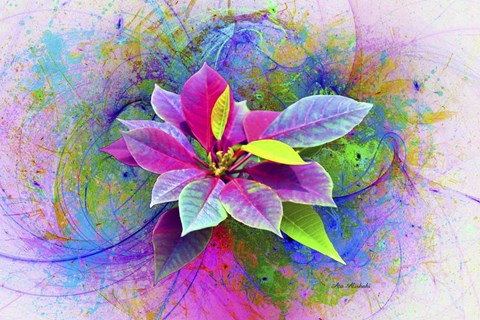 Framed Flower Design 7N Print