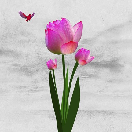 Framed Flower Design 7ABC Print