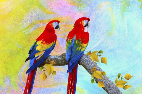 Framed Parrots 87A Print