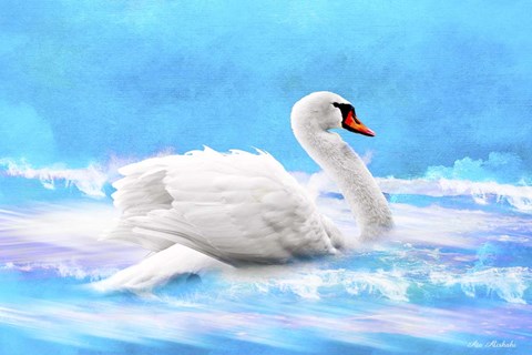 Framed Swan 8A Print