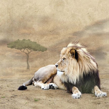 Framed King 1A Print