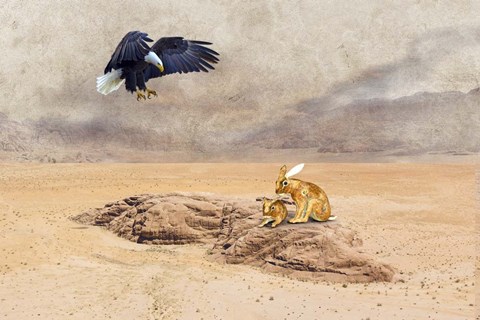 Framed King Of Sky Print