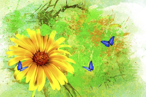Framed Yellow Flower And Butterflies Print