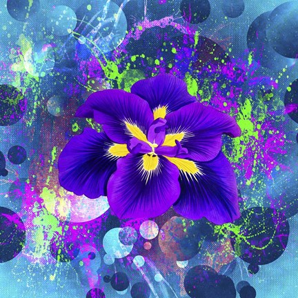 Framed Flower Design 4AX Print