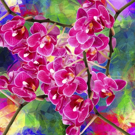 Framed Flower Spring 2 Print