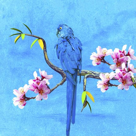 Framed Spring Bird And Flower Print