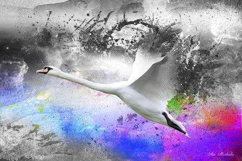 Framed Black And White To Color Print