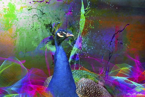 Framed Color Explosion CM7 Print