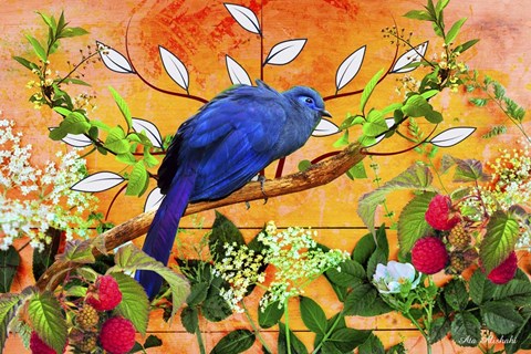 Framed Bird Collection 5 Print