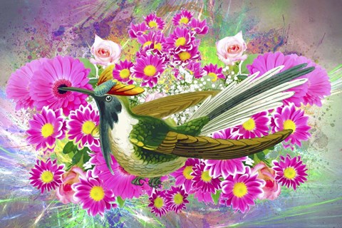 Framed Bird Collection 40 Print