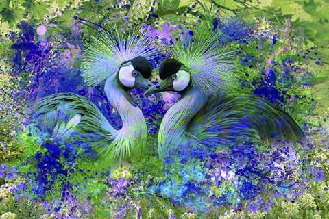 Framed Bird Collection 40SEP3 Print