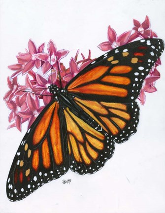 Framed Discovery Print