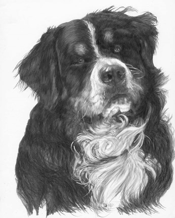 Framed Dutiful Print