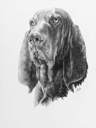 Framed B and T Coonhound Print