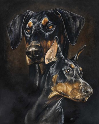 Framed Doberman Pinscher Print