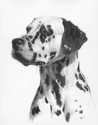 Framed Stylish Print