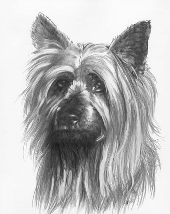 Framed Winsome Print