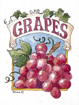 Framed Grape Seed Packet Print