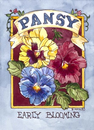 Framed Large Pansy-Seed Packet Print