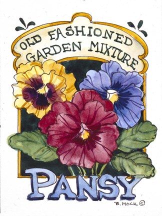 Framed Old Fashioned Pansy-Seed Packet Print