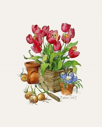 Framed Tulips in Bloom Print