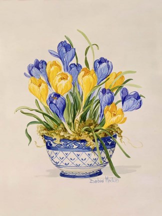 Framed Blue and White Porcelain Crocus Print