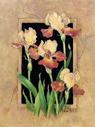 Framed Framed Iris Print