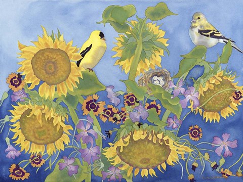 Framed Goldfinches With Sunflowers Print