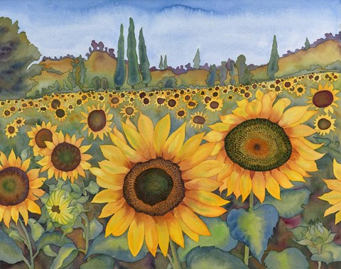 Framed Sunflower Fields Print