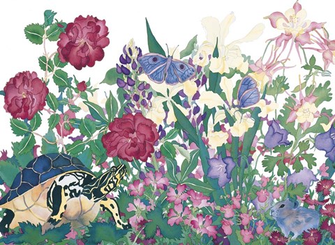 Framed Turtle With Butterfly Print