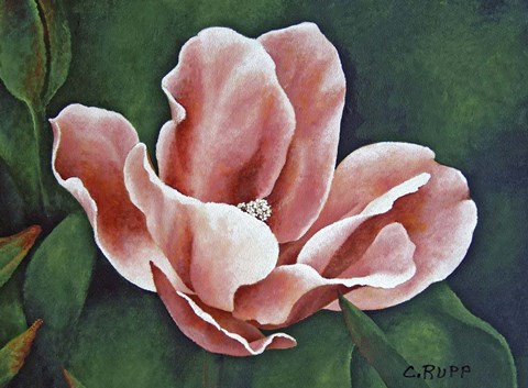 Framed One Day Show Print