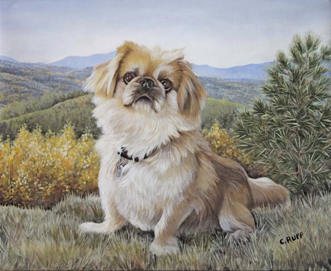 Framed Bo at the Mountains Print