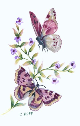 Framed Butterfly in Lilac Print