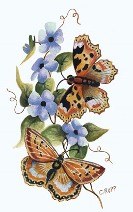 Framed Butterfly on Blue Print