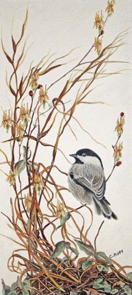 Framed Chickadee in Summer Grass Print