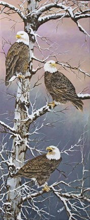 Framed Eagle Trio at Dawn Print