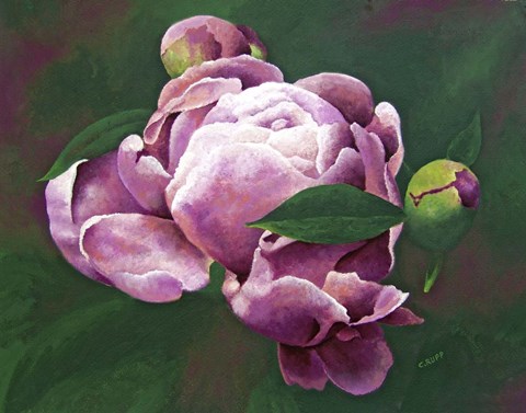 Framed First Bloom Print