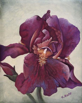 Framed Going Solo Print