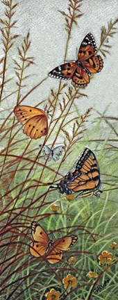 Framed Golden Butterflies Print