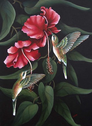 Framed Hummingbird  Duet Print