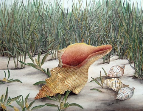 Framed Left By The Sea Print