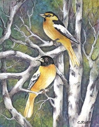 Framed Yellow Birds Print