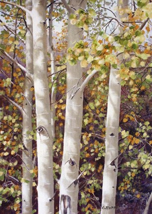 Framed Aspen Quartet Print