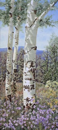 Framed Aspen with Wildflowers Print